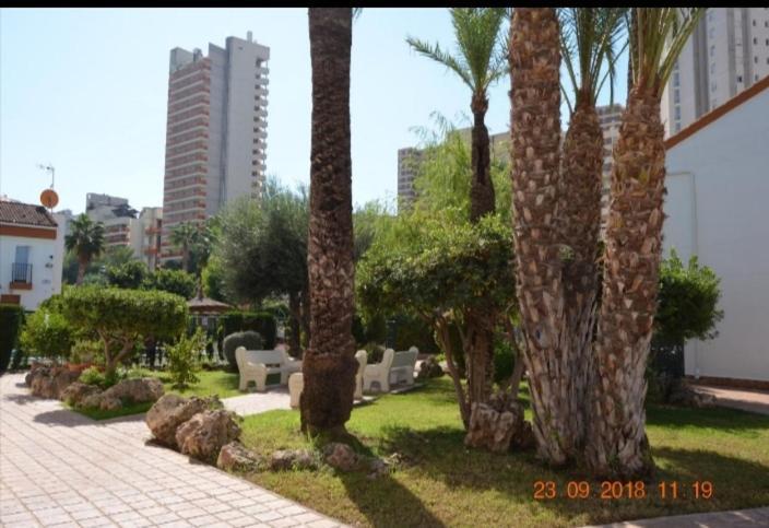 Appartamento Sunshine Apartament Benidorm Esterno foto